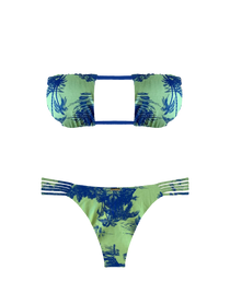 Slide image