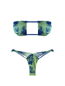 Slide image