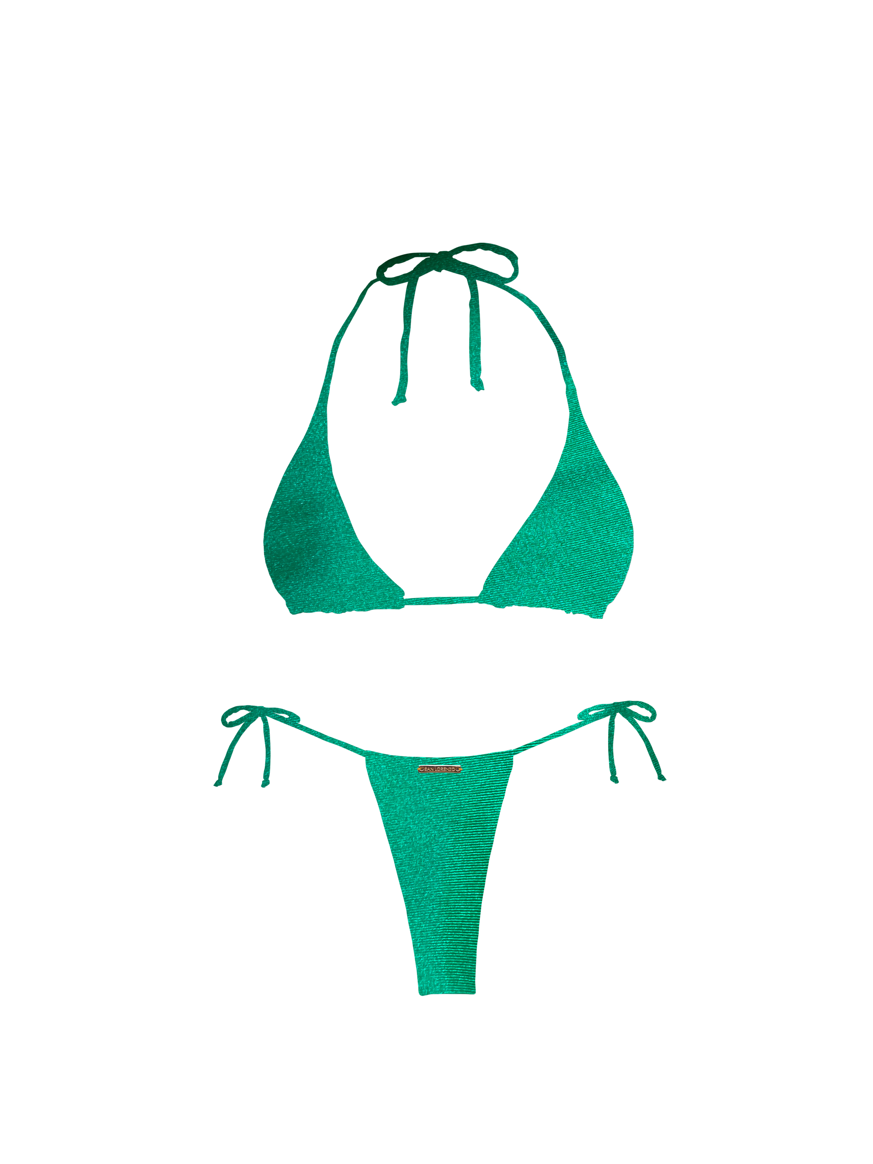 Slide image