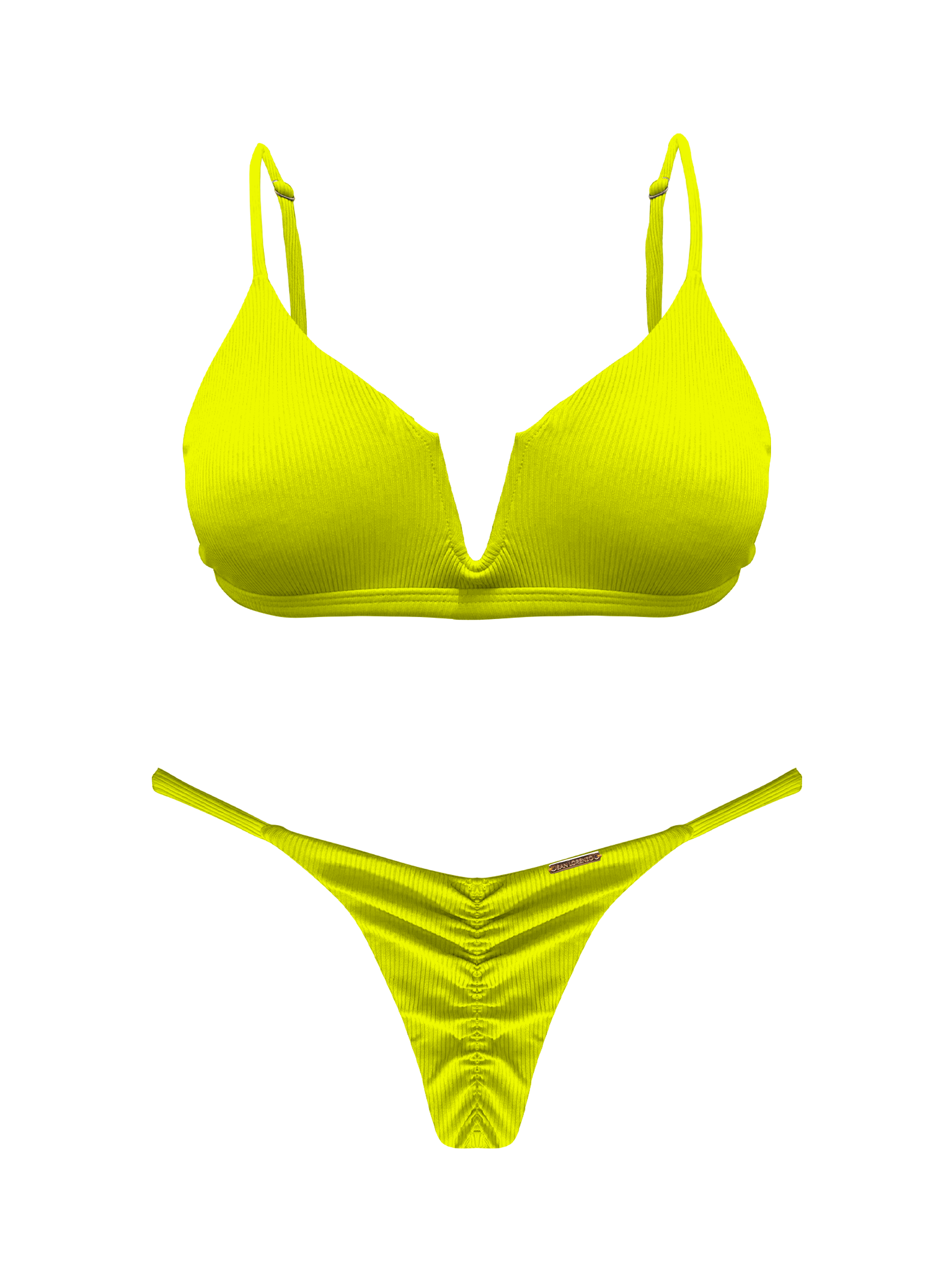 Slide image